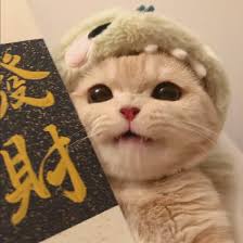 Avatar de images (3)